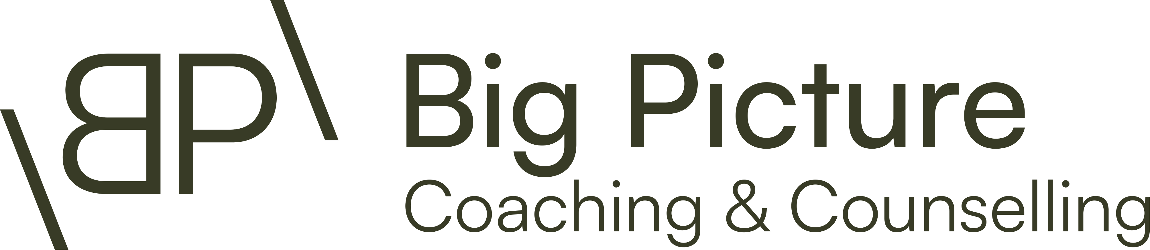 Big Picture Coaching & Counselling