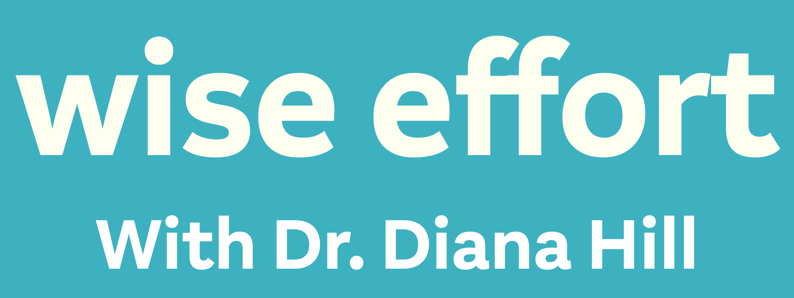 Wise Effort Consulting, Inc.