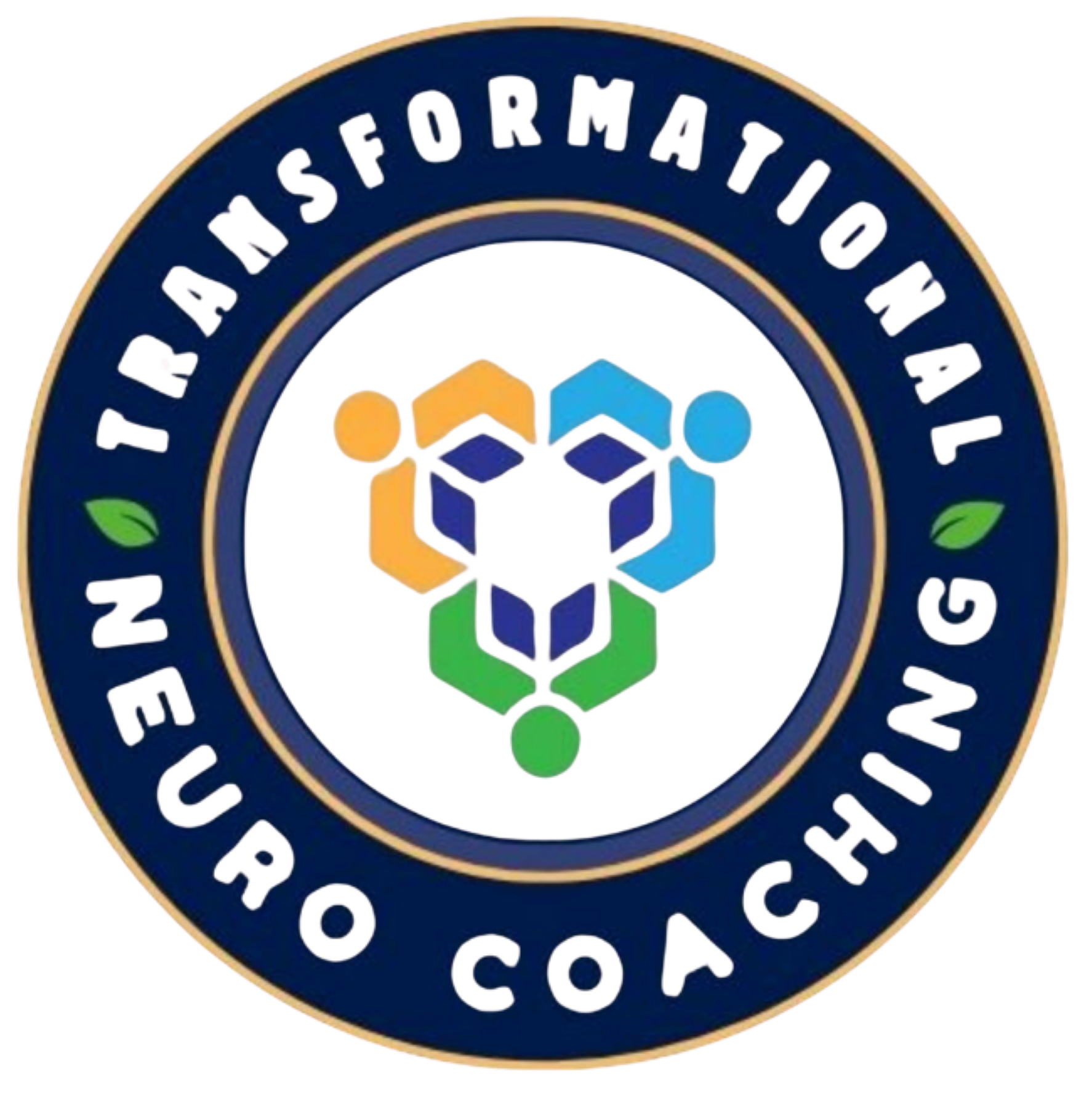 Profile picture for TRANSFORMATIONAL NEURO COACHING